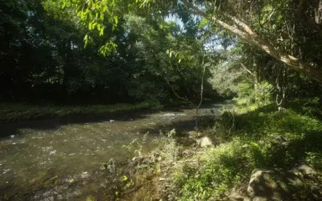 Cairns Homestead: A Peaceful Getaway