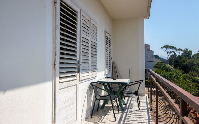 Apartments Petar