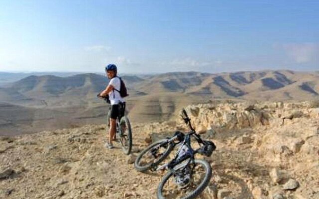 Boker Valley Vineyards Farm