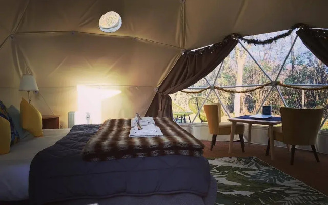 Tui's Nest Glamping