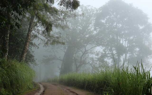 Nature Zone Jungle Resort