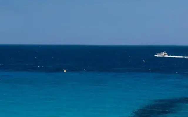Oasiaurora