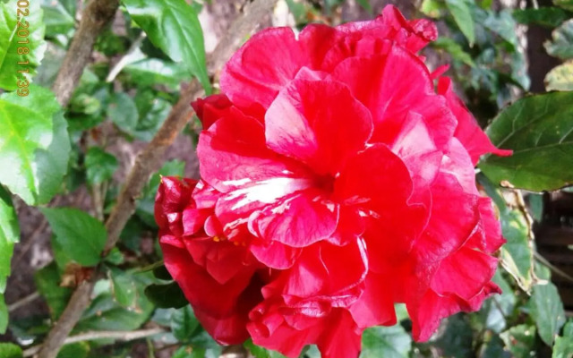 Quitinetes Rusticas Junto a Natureza - Bruxas e Bruxos