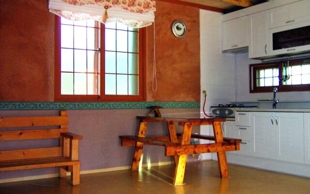 Danyang Geumsusan Log Pension