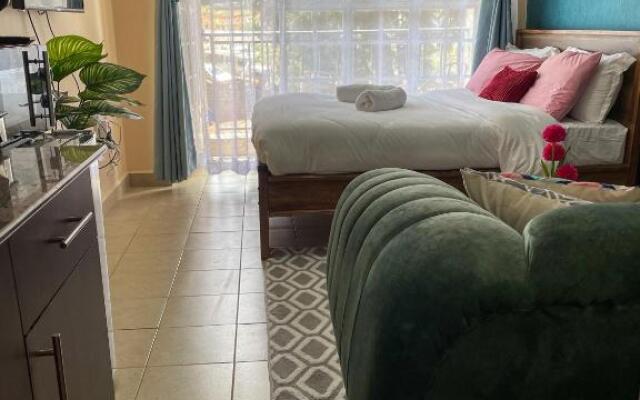 Elegant and cozy studio apartment in Nairobi Ruaka