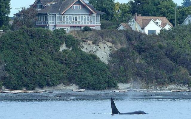 Dashwood Manor Seaside Bed & Breakfast