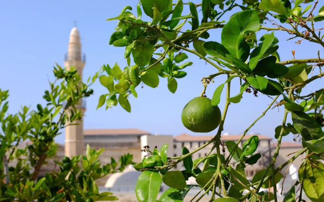 Apartment Porcelaine, 3BR, Tel Aviv, Jaffa, Hatsforfim St, #Y1
