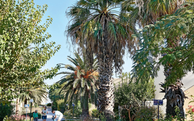 Grecotel Casa Paradiso, Lifestyle All In Resort
