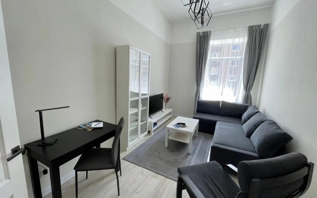 Rigas street cozy apartment, city centre
