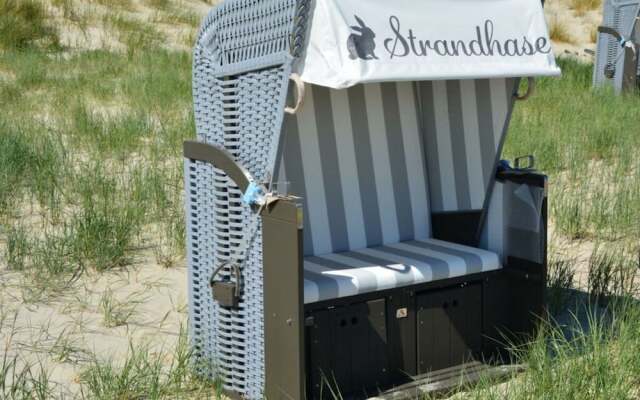 "beach Bunny" in the House on the Dune