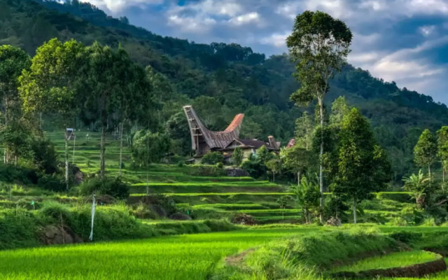 Santai Toraja