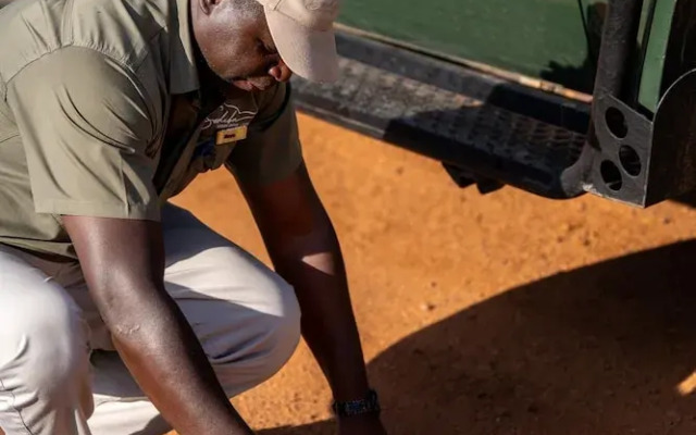 Sediba Luxury Safari Lodge