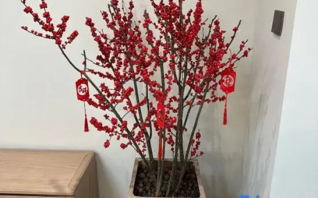 Miss Wu's Homestay (Huayu Shuyuan Branch), Zhangjiajie