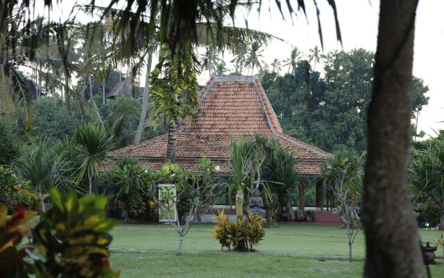 Pondok Pitaya Hotel, Surfing & Yoga