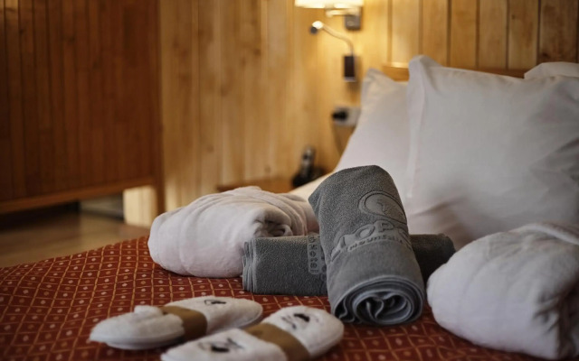 Hotel Llop Gris