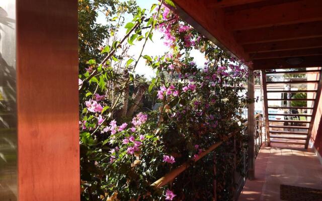 B&B Albaluna