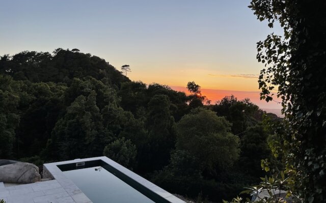 Quinta Velha
