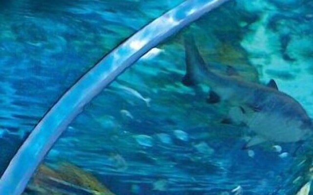 Whispering Pines 642