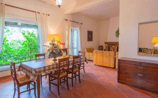 Fonte del Ceppo 1 (TTE300)