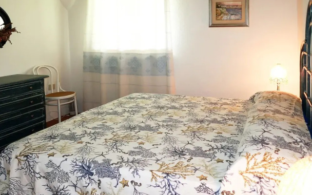 Mimosa Punta Sardegna