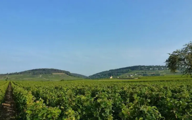 Gite Des Vignes
