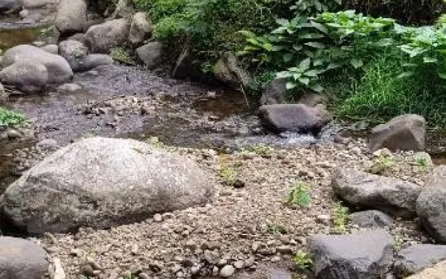 Ranggon d'tukad