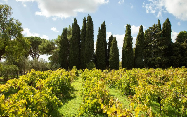 Villa Titì