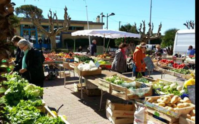 Apartment With one Bedroom in Saint-raphaël, With Enclosed Garden and