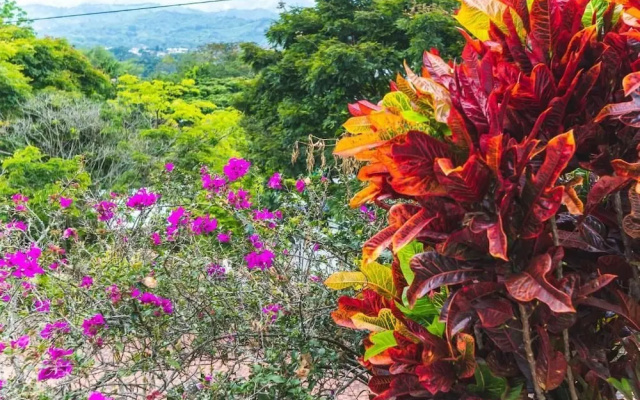 Villeta Resort Hotel