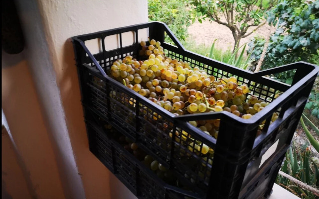 2nd Private Room in the Attic With Shared Bathroom use