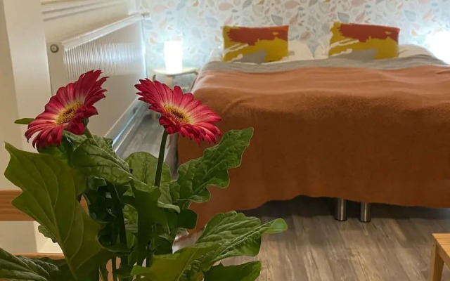 Savonlinna Rentals
