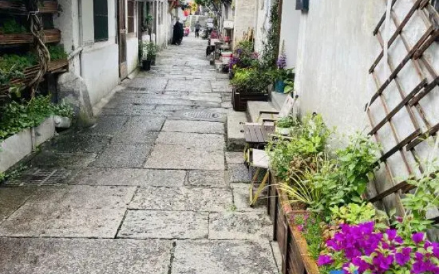 Jinglu Homestay