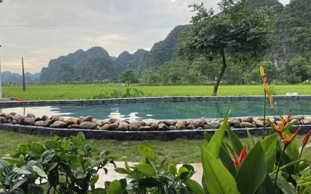 Tam Coc Windy Fields