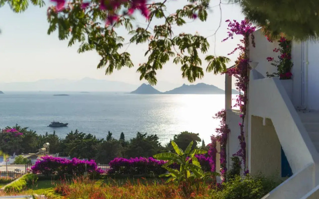 Sunset Mavi Apart