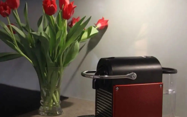 Holiday Apartment Kurpark