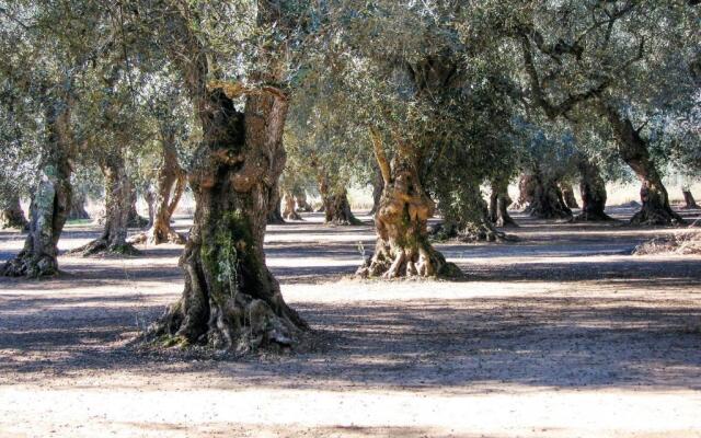 Holiday Home Via Due Luglio