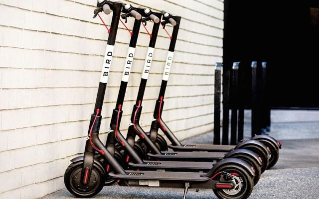 BHostels International Drive North