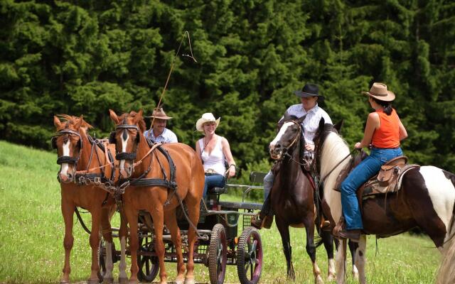 Pleasant Apartment in Gosau near Ski Area