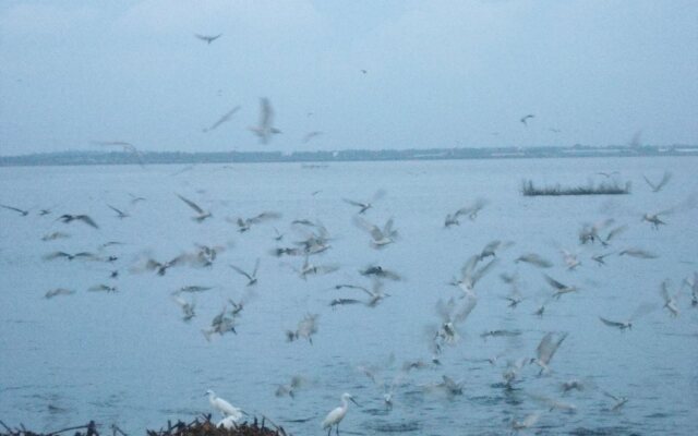Nilakma Lagoon
