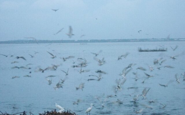 Nilakma Lagoon