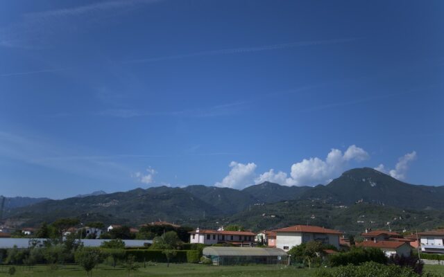 Il Tremarino