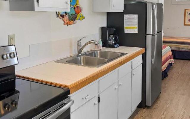 Beach Blessing- Guest