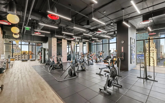 The Elser by Andes STR