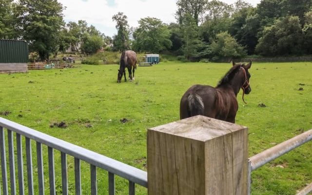 Coed y Glyn Bach Equestrian