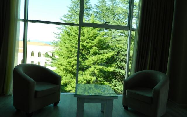 Resort Martvili
