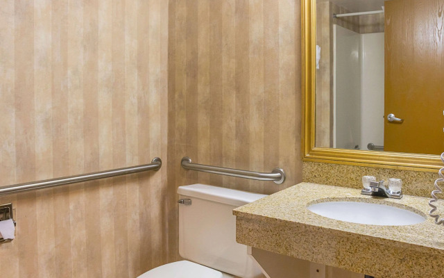 Quality Inn & Suites Detroit Metro Airport