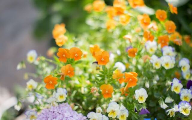 Tinghuatang Seaview Garden Meisu Hotel (Dali Erhai Tianjing)