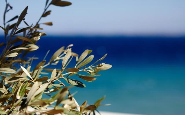 Amarandos Sea View Apartments