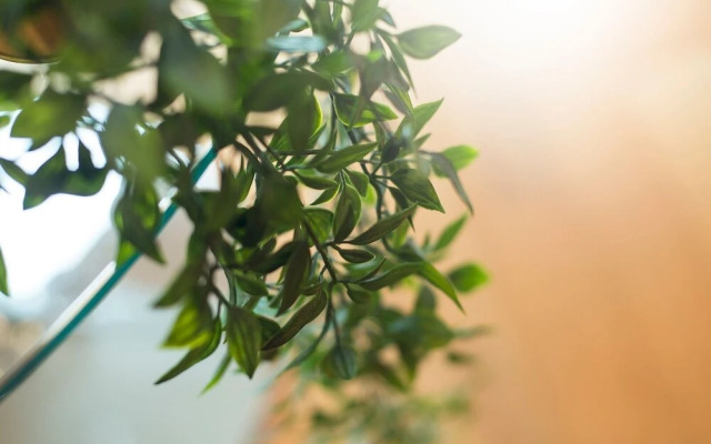 Luxurious 1 Bed Cardiff City Centre Apartment