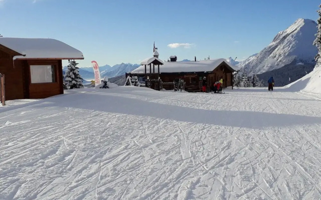 Birkenwald Seefeld in Tirol